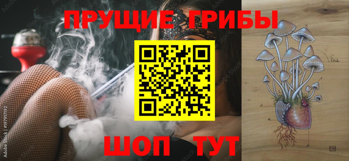 Галлюциногенные грибы Psilocybe  Вход с VPN  Галлюциногенные грибы GOLDEN TEACHER  Орехово-Зуево 